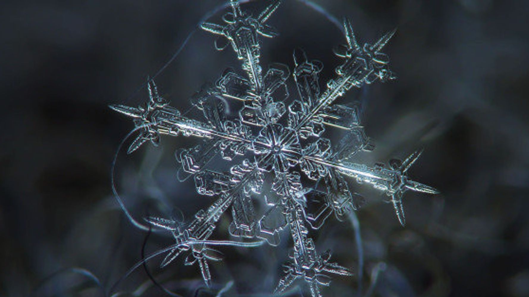 パラシュート 描写 贅沢 雪 結晶 写真 Rurudo Jp