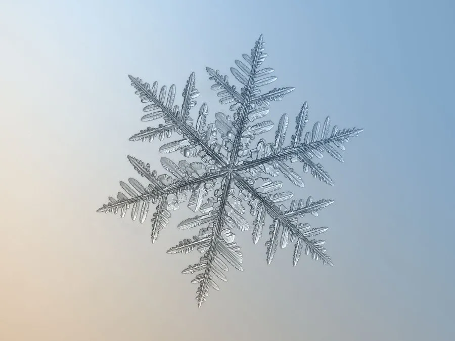 息を飲むほど美しい雪の結晶 画像 ハフポスト Life