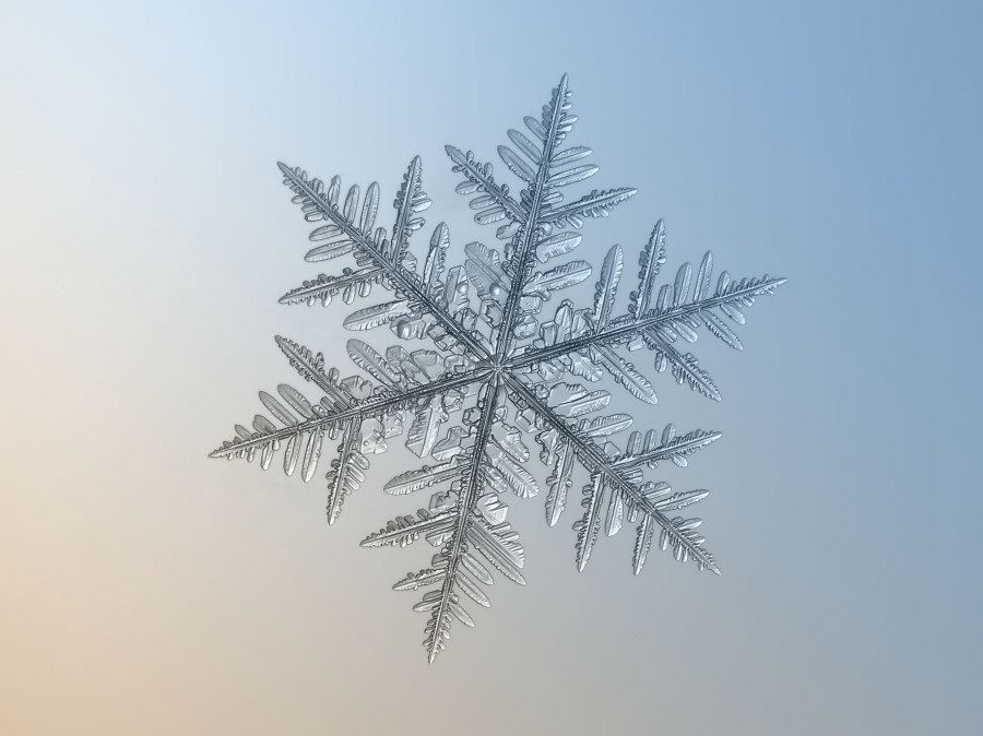 息を飲むほど美しい雪の結晶 画像 ハフポスト