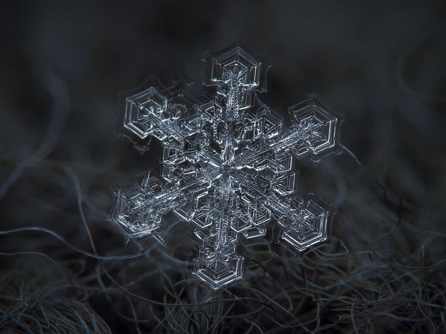 息を飲むほど美しい雪の結晶 画像 ハフポスト Life