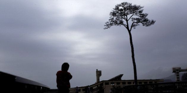 RIKUZENTAKATA, JAPAN - MARCH 11: A man looks at a single pine tree left standing after the March 11, 2011 tsunami swept away an entire forest, on March 11, 2012 in Rikuzentakata, Japan. People see the tree's miraculous survival as a symbol of hope and want to preserve it as a living monument. Today marks the one year anniversary of the 9.0 magnitude earthquake and tsunami that occured on March 11, 2011 and engulfed large parts of northeastern Japan. The number of dead and missing amounted to over 15,000 people. (Photo by Chris McGrath/Getty Images)