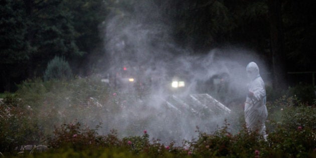 TOKYO, JAPAN - AUGUST 28: A workman sprays pesticide in Yoyogi Park on August 28, 2014 in Tokyo, Japan. Sections of Yoyogi Park were closed to the public today as they underwent fumigation after three people were diagnosed with dengue fever after suffering mosquitoe bites in the park. According to a Health Ministry statement, these were the first domestic cases of dengue fever in Japan in 70 years. (Photo by Chris McGrath/Getty Images)