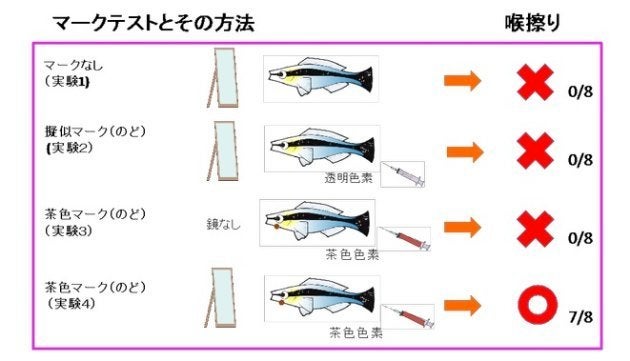 喉のマークを鏡で見た時だけ喉をこすった