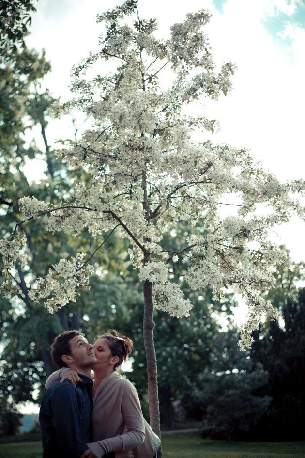 桜の木の下でキスをする2人