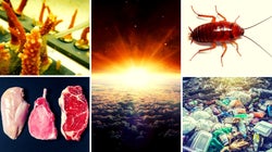 5 radikale Ideen, die im Kampf gegen Klimawandel und Müll-Krise helfen