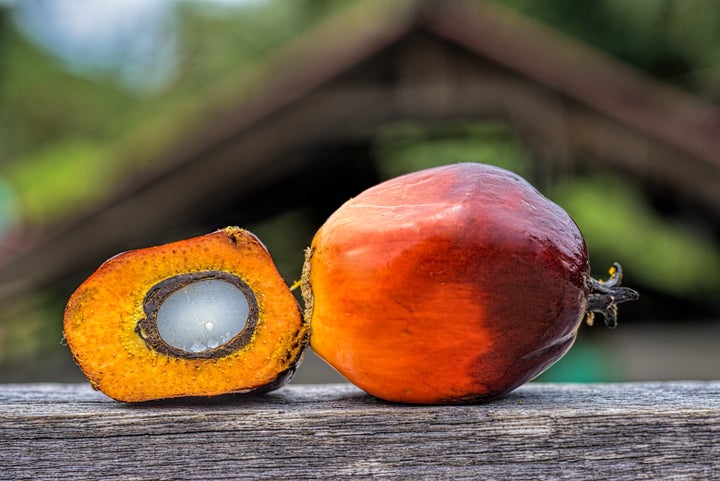 Oil palm fruit