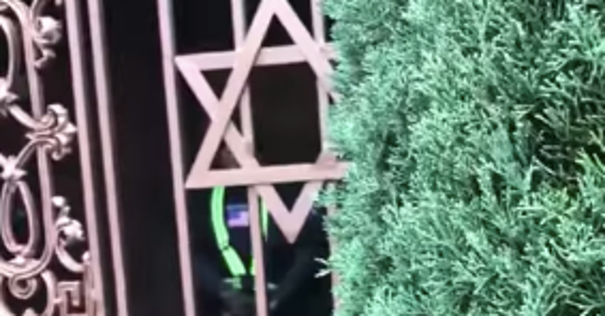 Transgender YouTube Personality Furry Potato Shot Outside Los Angeles Synagogue