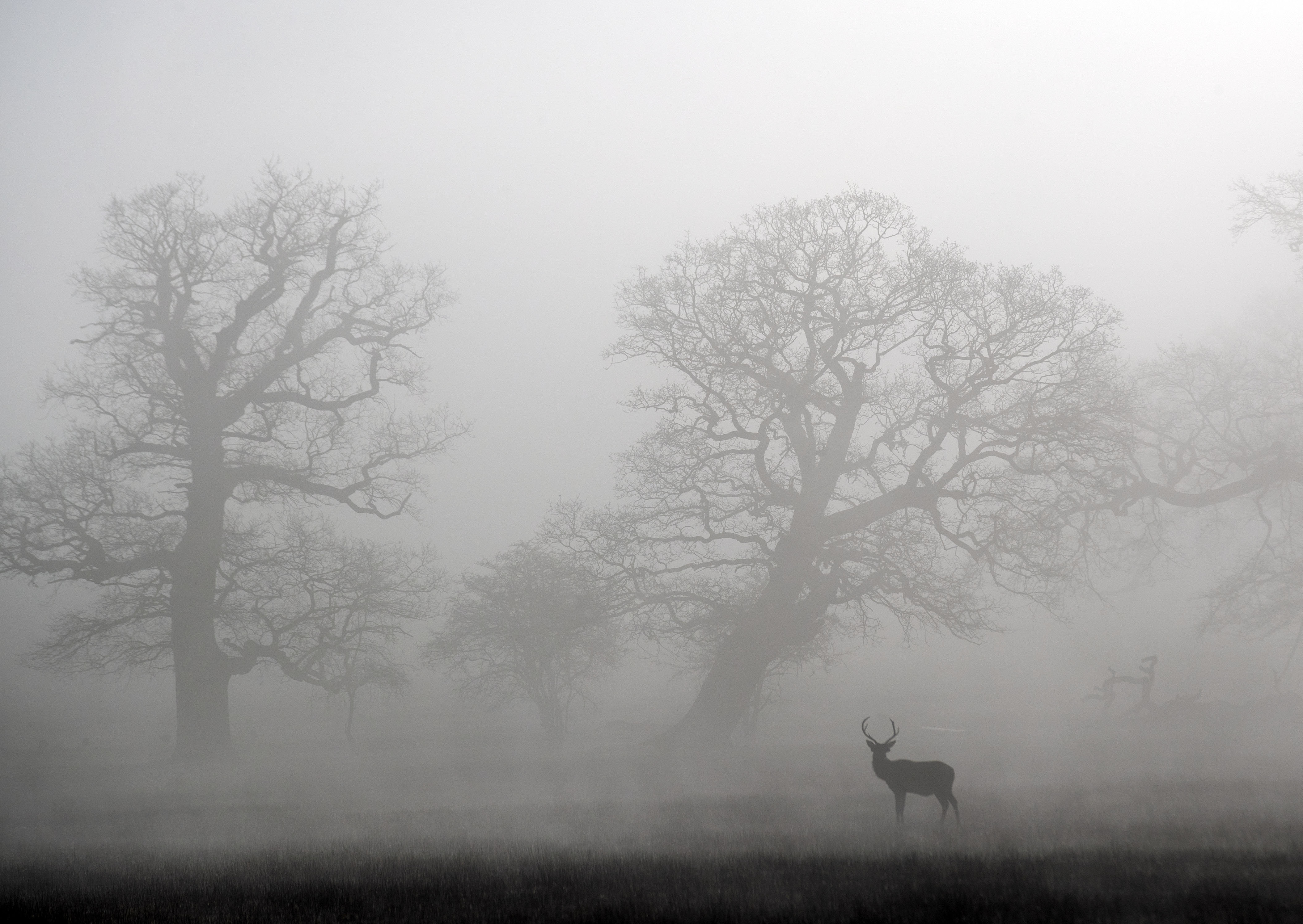 fog weather