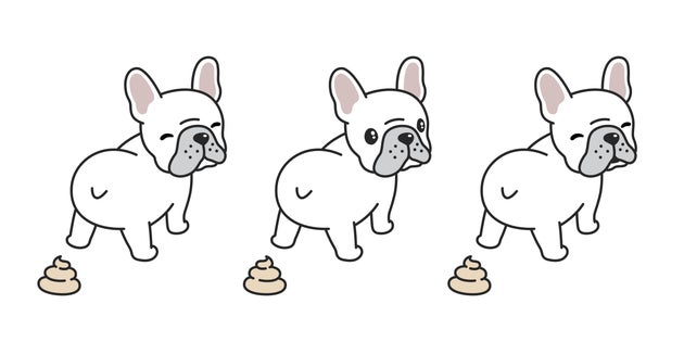 Why Do We Still Pick Up Dog Poop With Plastic