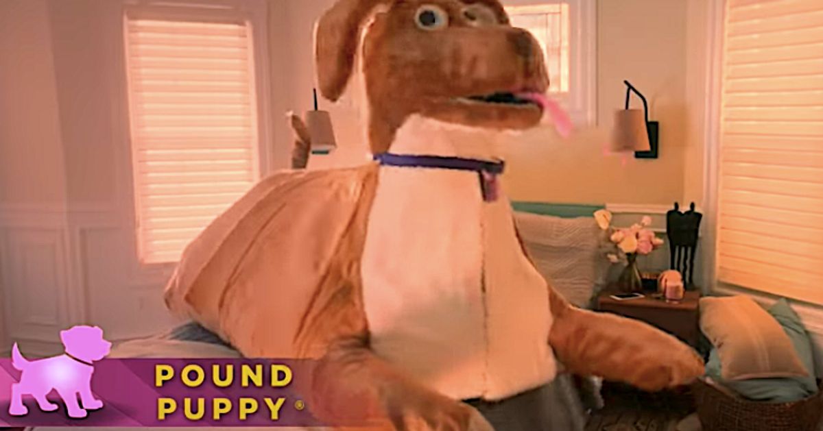 Watch Pound Puppies Cartoon Porn - Bow WOW: 'SNL' Offers A Solution For Sex To Keep A Jealous Fido From  Watching | HuffPost Entertainment