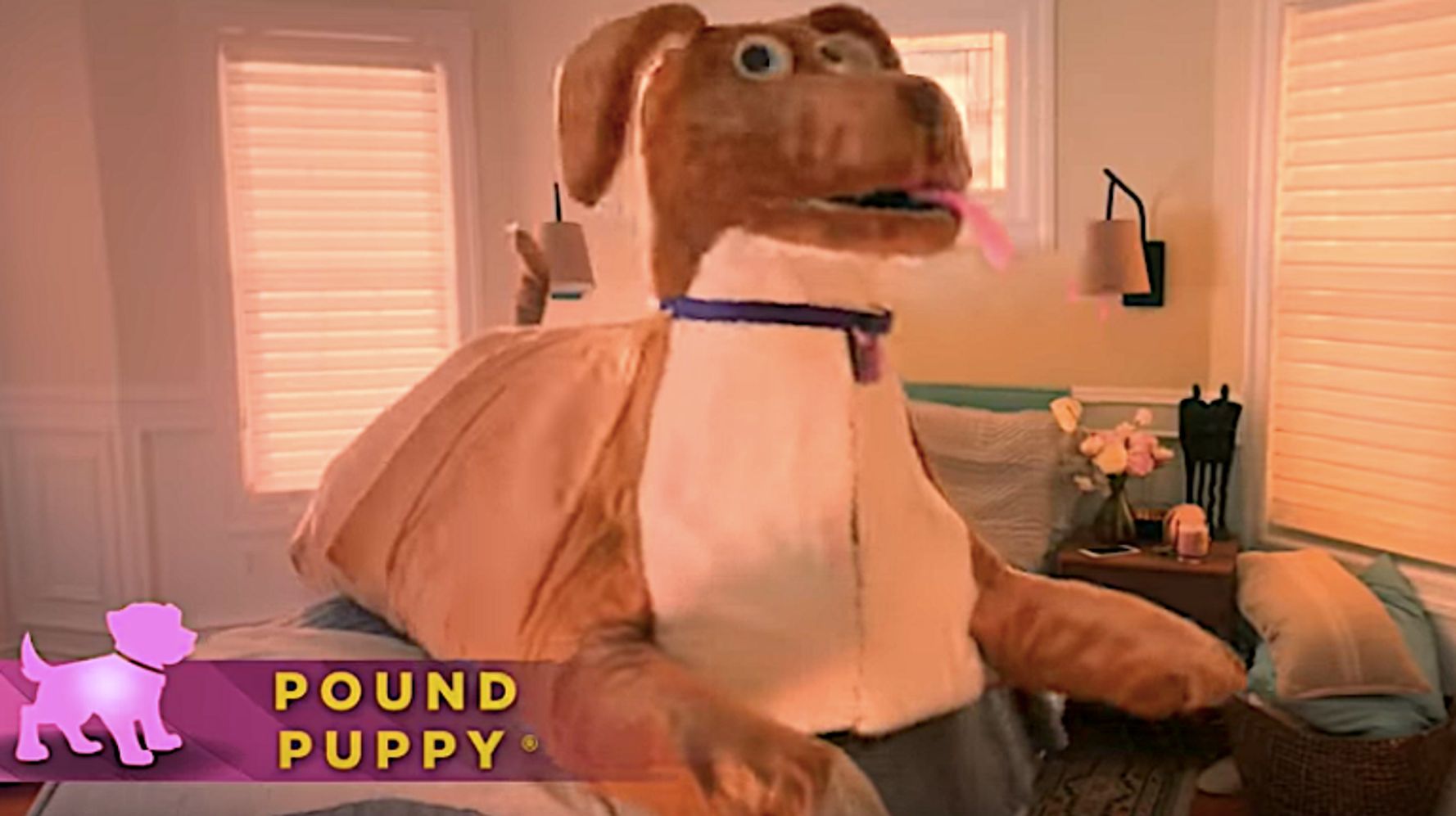 Watch Pound Puppies Cartoon Porn - Bow WOW: 'SNL' Offers A Solution For Sex To Keep A Jealous Fido From  Watching | HuffPost Entertainment