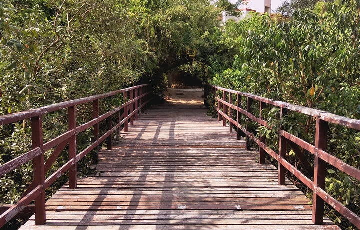 Kids can walk across the pedestrian bridges over the river. 