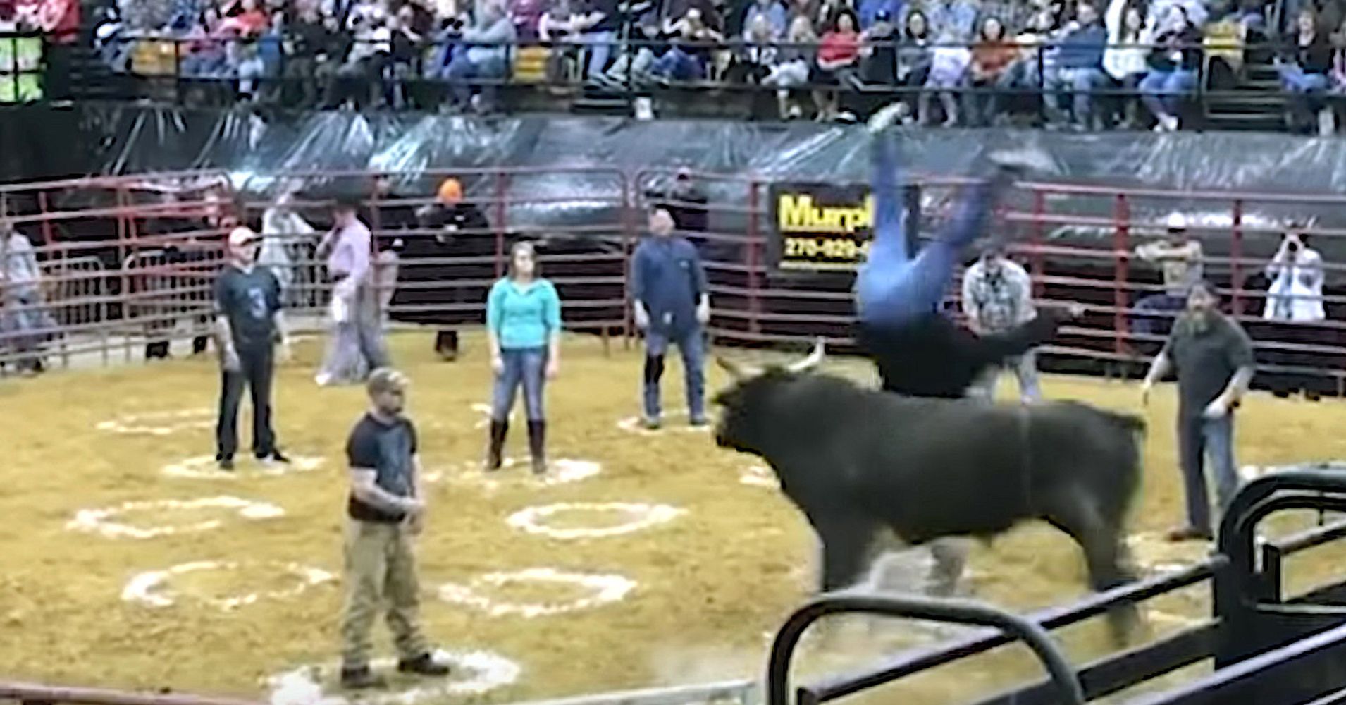 Rodeo Crowd Shocked As Bull Flips 2 In 'cowboy Pinball' 