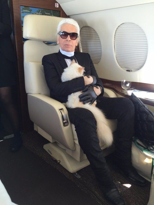 Choupette was rarely away from her owner's side.