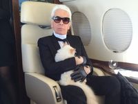 The cat heiress of Karl Lagerfeld 