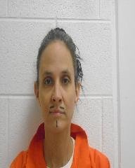 Michelle Renay Sutherland, 45, was charged with a misdemeanor count of indecent exposure after exposing her breast in public.