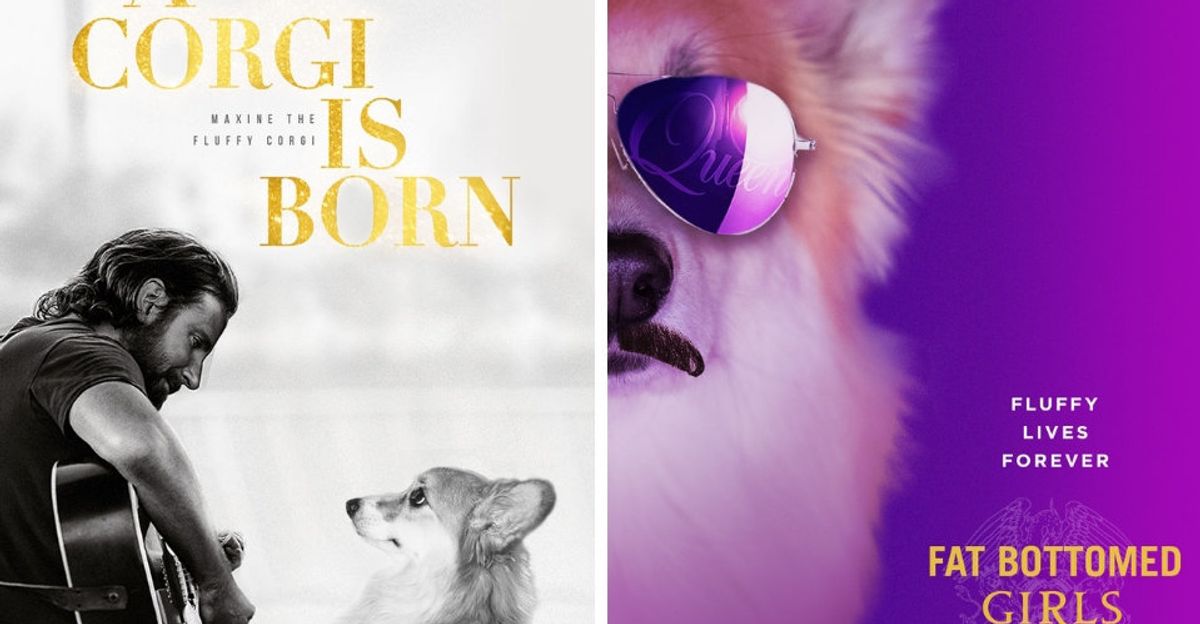 Maxine the Fluffy Corgi Is Getting a Picture Book