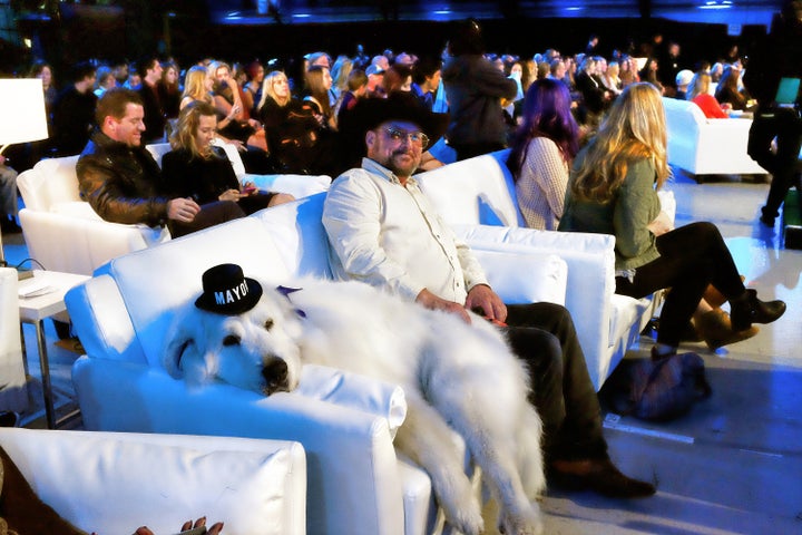 Duke lounging on a couch at the 2015 World Dog Awards.