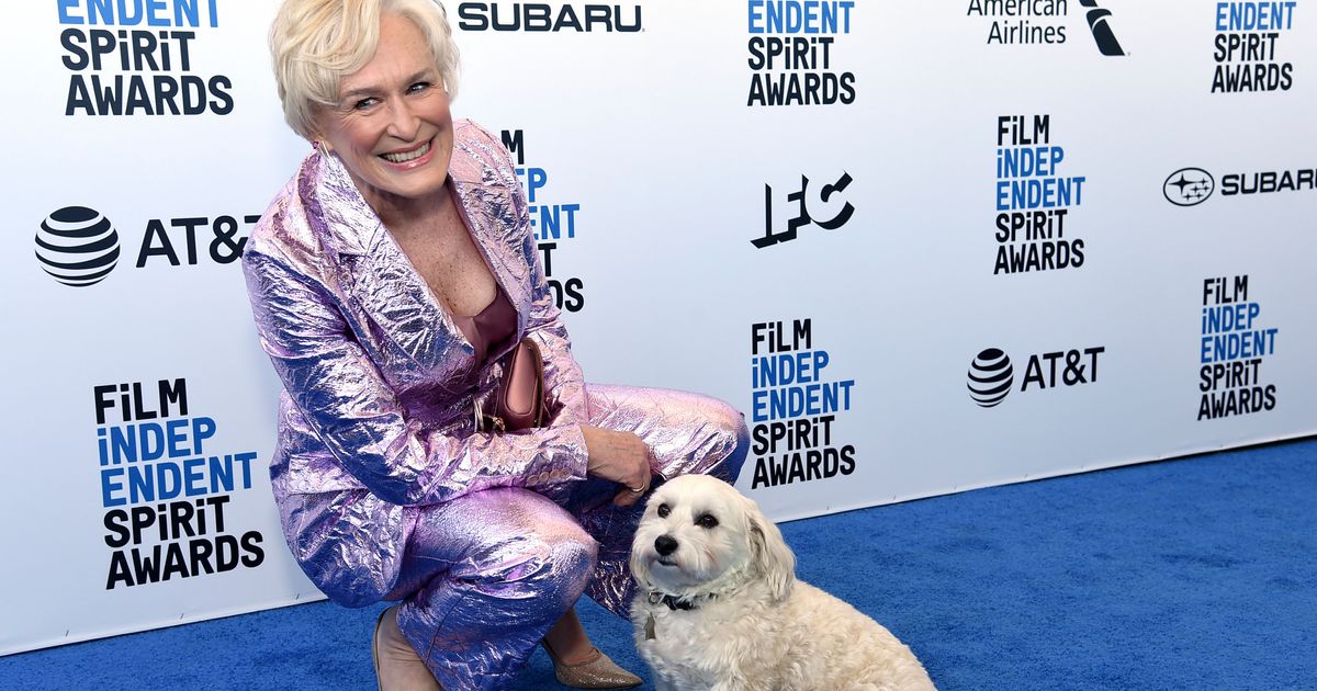 Glenn Close's Dog, Pip, Steals The Show At LA Awards Ceremony ...