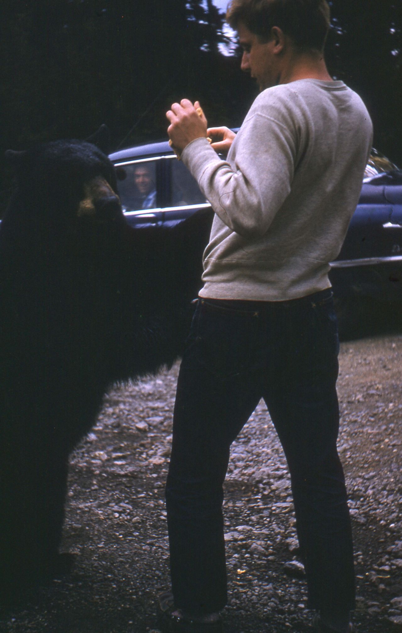 Ο Ρ. Μανθούλης αγκαλιά με μια συμπαθητική (;) αρκούδα στο δάσος της Μοντάνα.