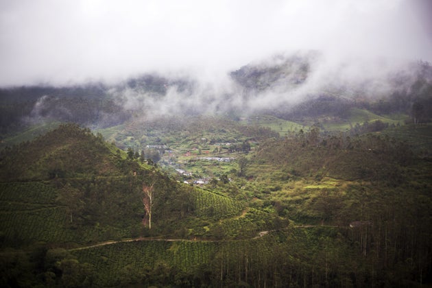 India Will Get Normal Monsoon Rains, Predicts