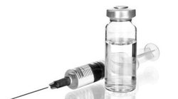 Teste de vacina contra HIV em macacos tem resultados animadores na