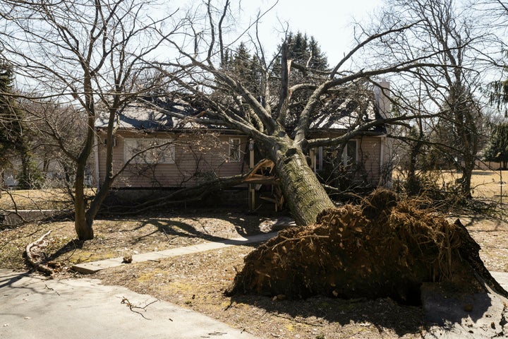 A tree toppled by wind fell upon a home in Springfield, Pa., on Monday after high winds roared throughout the region. 
