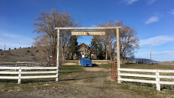 Shasta Big Springs Ranch provided a testbed for an experiment to preserve farming and the salmon population. It didn't go wel