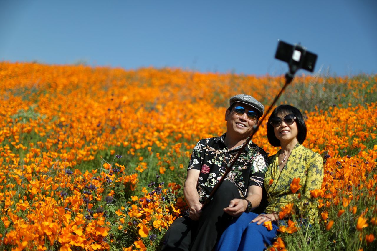 A couple takes a selfie photo in a super bloom of poppies in Lake Elsinore, California, on Feb. 27, 2019.