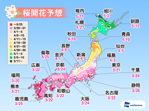 桜開花予想 2019 ペット