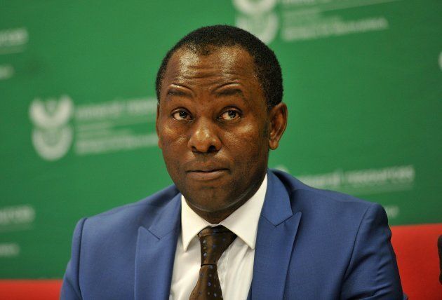 Mineral Resources Minister Mosebenzi Zwane.