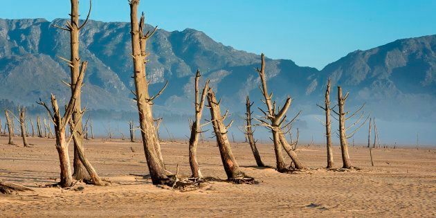 A picture taken on May 10, 2017 shows bare sand and dried tree trunks at Theewaterskloof Dam, which has less than 20 percent of its water capacity, near Villiersdorp, about 108km from Cape Town.