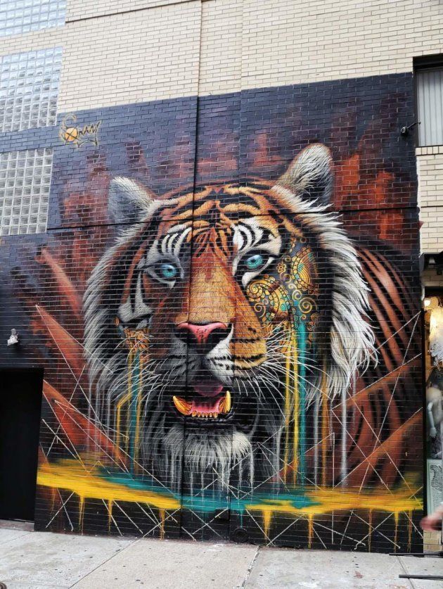 South African Street Art Brings Endangered Wildlife To Russia | HuffPost UK