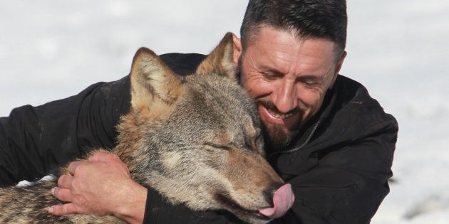 Hysni Rexha plays with his wolf Trump in Gjakova, Kosovo January 25, 2018. Picture taken January 25, 2018. REUTERS/Hazir Reka