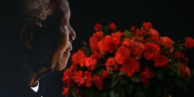 A posy of Mandela roses placed in front of a portrait of Nelson Mandela by the Nelson Mandela foundation, which promotes Mandela's legacy. The Mandela rose is expected to be sold locally and internationally and proceeds will go to the foundation. Its CEO, Sello Hatang, says Mandela appreciated gardening and cared for the environment.