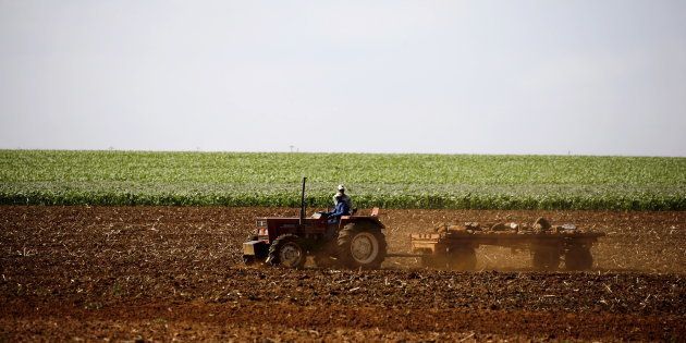 Farmers work on a land outside Lichtenburg, a maize-growing area in the North West province, South Africa November 26, 2015. REUTERS/Siphiwe Sibeko