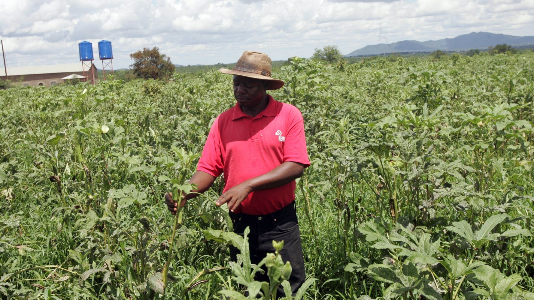 In their own words: Young Black farmers share what it takes to succeed