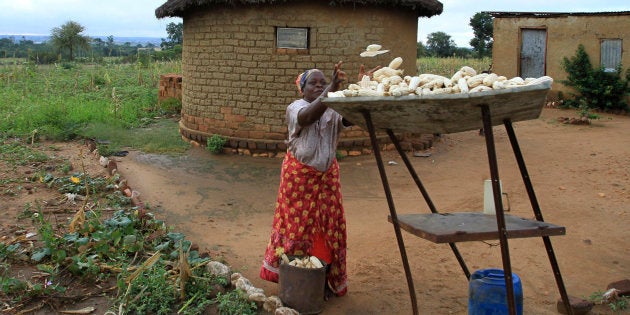 Martha Mafa, a subsistence farmer, stacks her crop of maize in Chivi, about 378km (235 miles) south-east of the capital Harare, April 1, 2012. Zimbabwe faces a huge grain deficit this year after a third of the current maize crop was written off due to a prolonged dry spell.