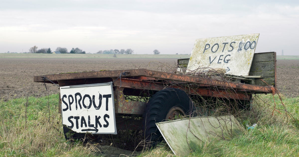 A Guide To Land Expropriation Without Compensation HuffPost UK News