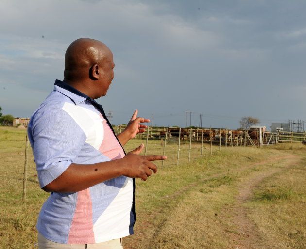 Julius Malema gives an interview on his farm on January 10, 2013 in Seshego, Limpopo.