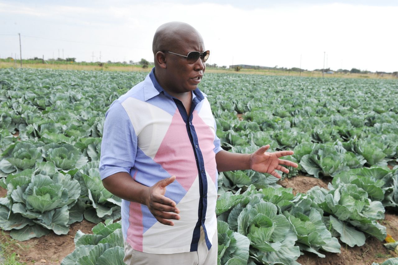 Julius Malema on his farm on January 10, 2013 inSeshego, Limpopo.