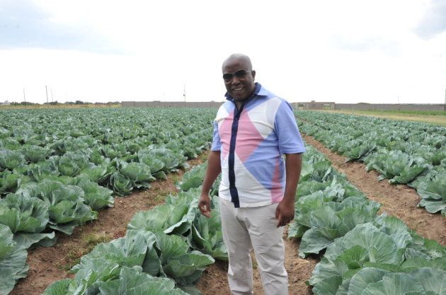 Former ANC Youth league President Julius Malema on his farm on January 10, 2013 in Seshego, Limpopo, South Africa. Lucky Nxumalo/ City Press/ Gallo Images