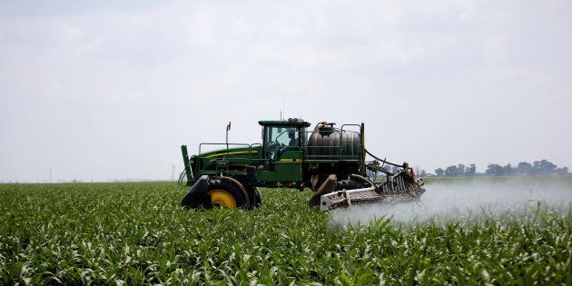 A worker uses a tractor to spray a field of crops during crop-eating armyworm invasion at a farm in Settlers, northern province of Limpopo, South Africa, February 8, 2017.