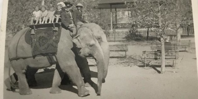 Remember When Children Could Ride Elephants At Johannesburg Zoo Huffpost Uk