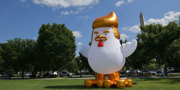 The inflatable chicken mimicking US President Donald Trump on The Ellipse, a park just south of the White House.