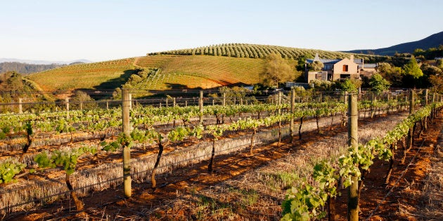 Tokara Wine Estate.