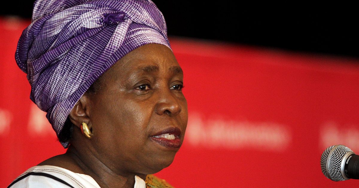 Dlamini-Zuma Has Accused Some ANC Members Of Being A ...