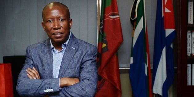 Julius Malema. Photo: Mduduzi Ndzingi/Sowetan/Gallo Images/Getty Images)