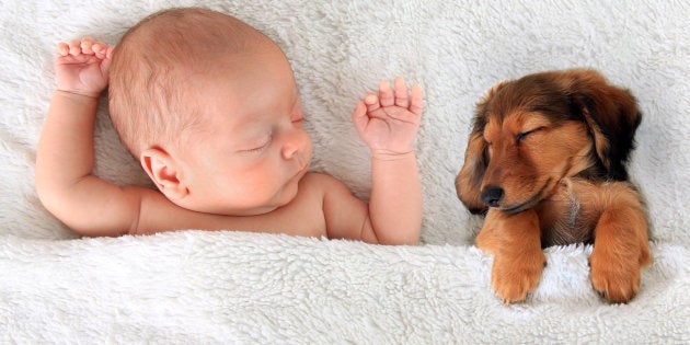 Newborn baby and a dachshund puppy sleeping together.