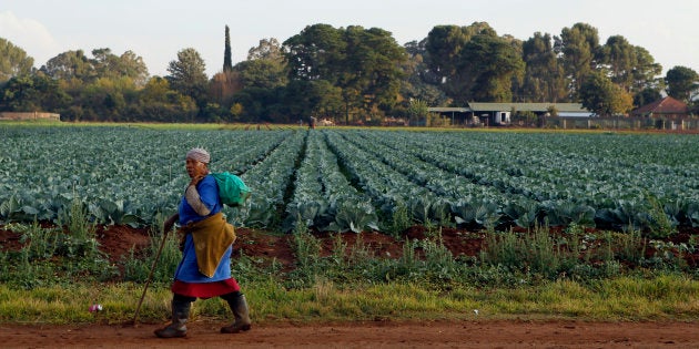 A worker leaves after working at a farm in Eikenhof, south of Johannesburg, April 24, 2012.